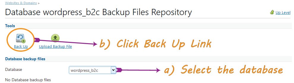 Backup Icon in Plesk Panel