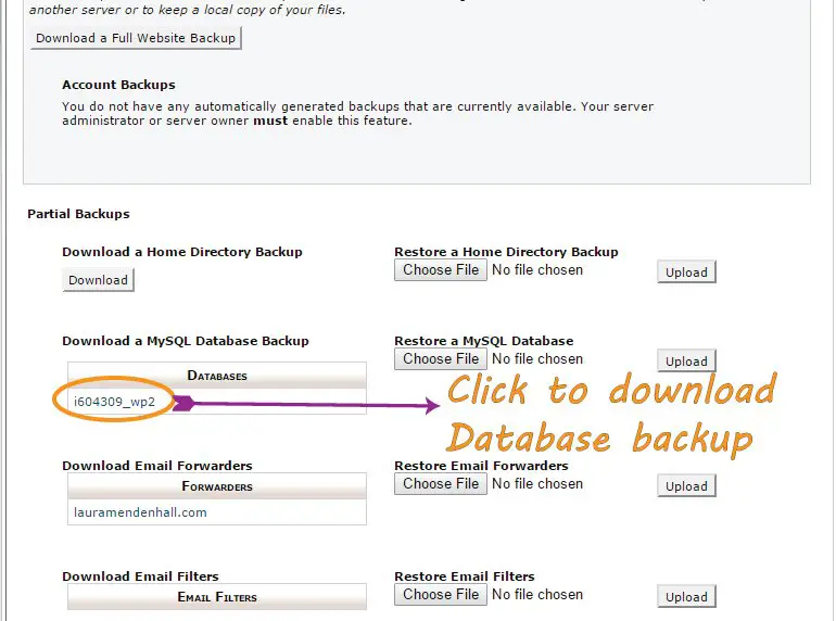 Downloading Database Backup in cPanel