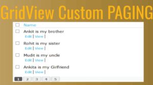 GridView Custom Paging