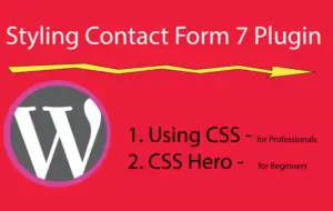 Contact Form 7 Style