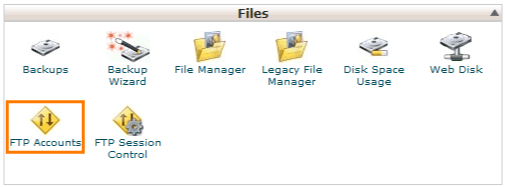cPanel FTP Accounts