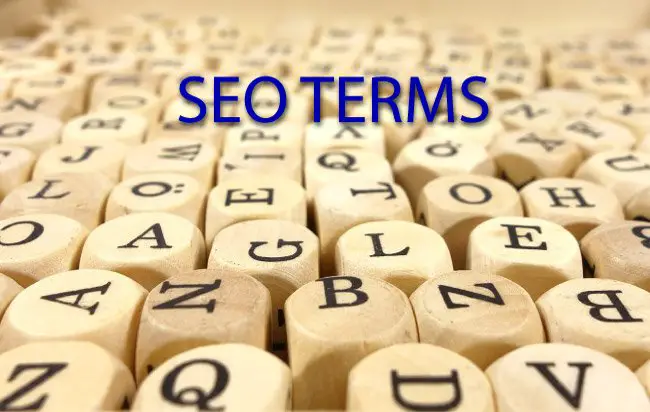 Exposed List of SEO Terms that are absolutely essential for gaining traffic