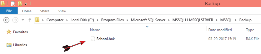 database backup file