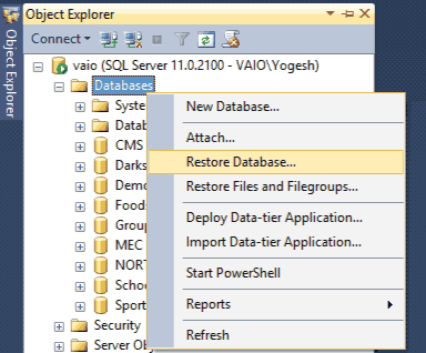 select restore database option
