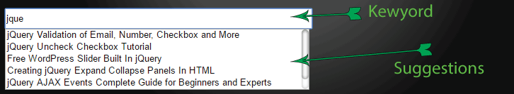 jquery autocomplete suggestions