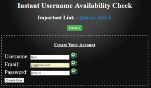 Instant Username Availability Check feature