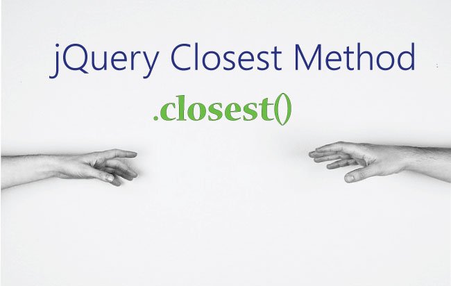 Learn jQuery Closest Method – .closest() with Example and Codes