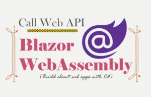 Blazor WebAssembly Web API