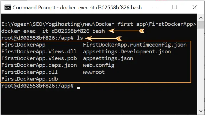 docker bash