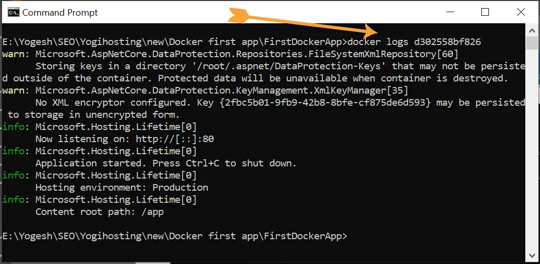 docker logs command output