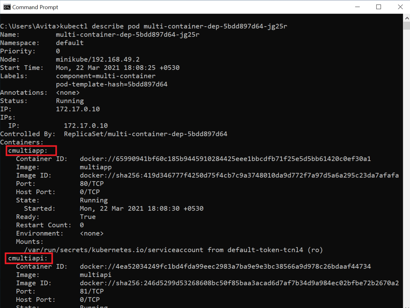 kubectl describe pod command output