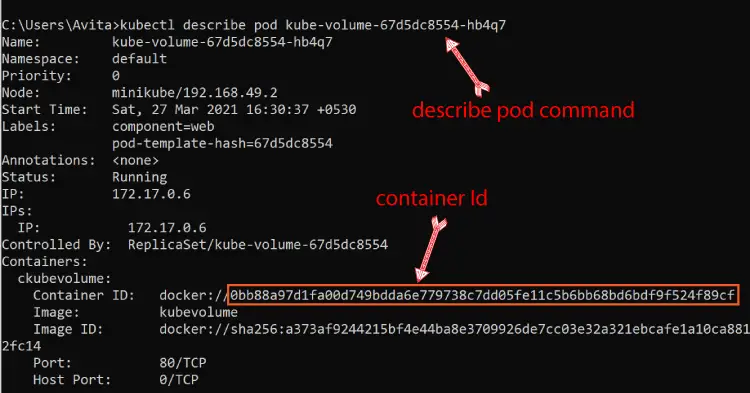 pod container id describe command