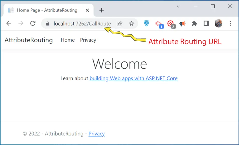 Attribute Routing Url