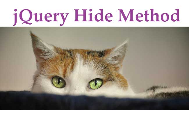 jQuery hide() Method – hide elements in a web page