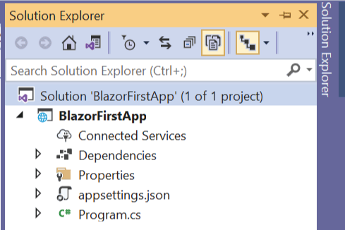 Solution Explorer