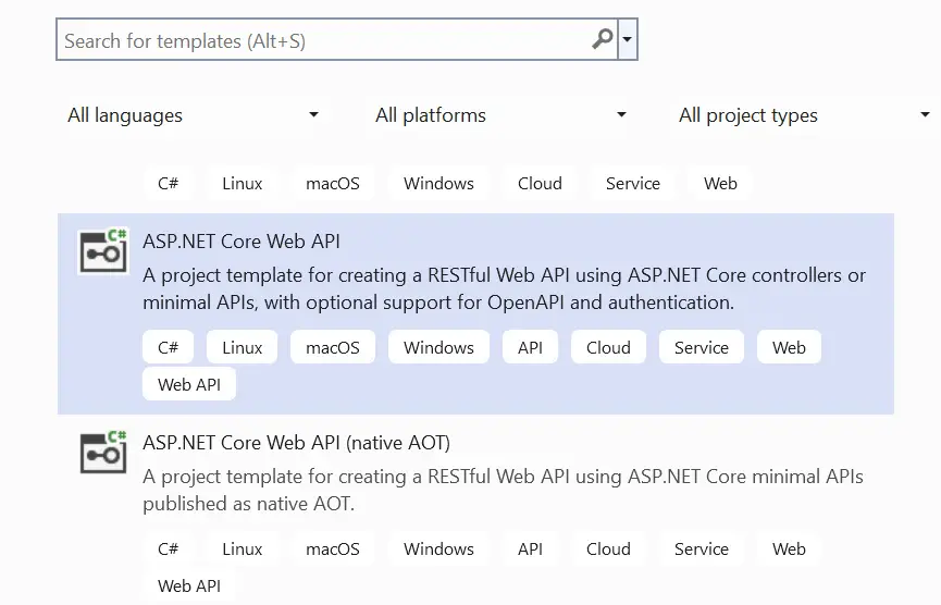 ASP.NET Core Web API Template