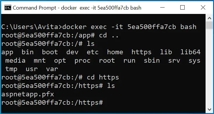 Docker Certificate inside container