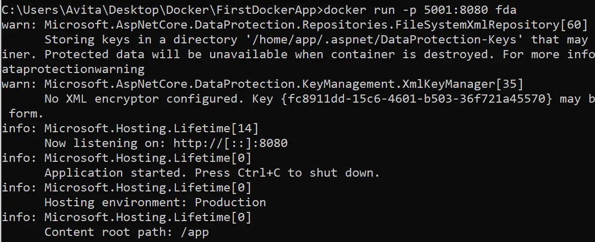 docker run bind port