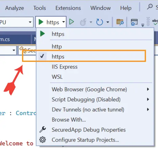 select Kestrel Visual Studio