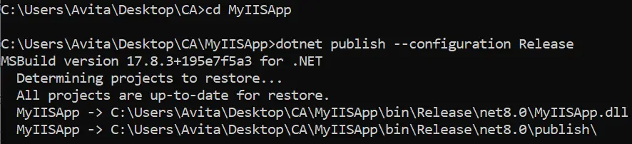ASP.NET Core IIS app Publish