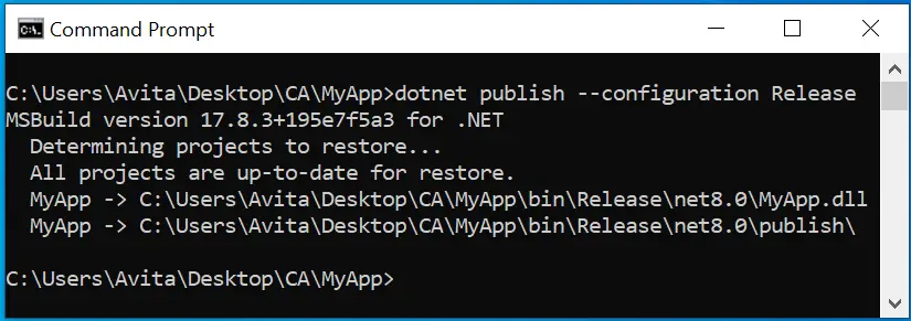 .NET Publish Command