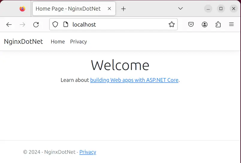 ASP.NET Core Nginx Hosting