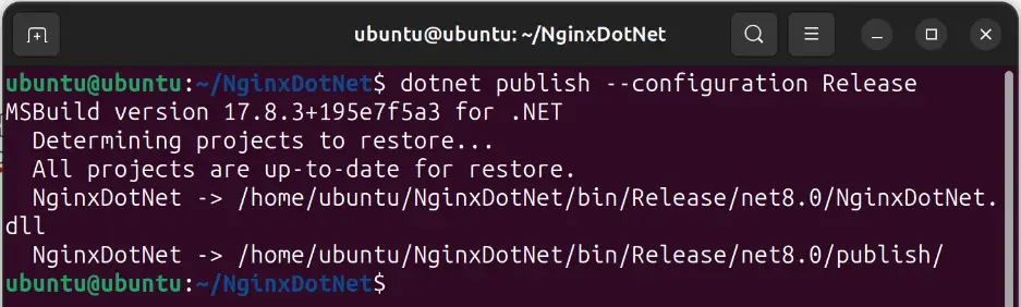 dotnet cli publish command