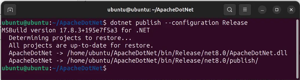 dotnet publish command