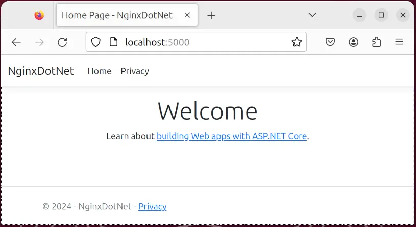 Opening Nginx hosted App on browser