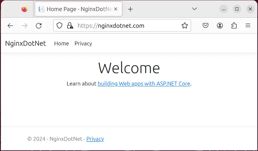 Nginx SSL .NET app