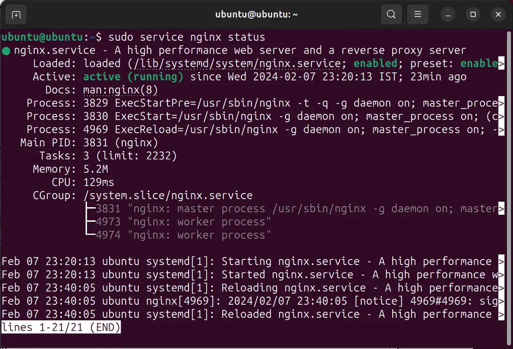 Nginx Status