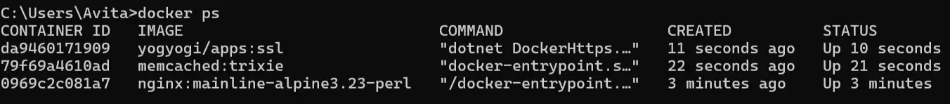 docker ps