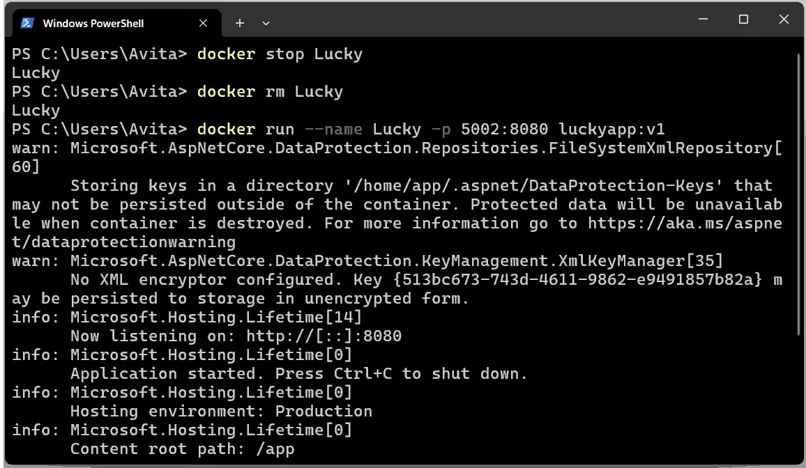 Docker stop rm Commands