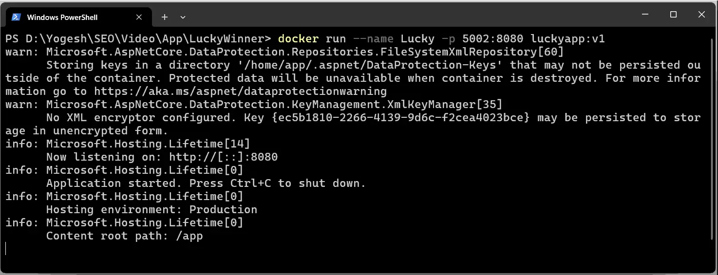 Docker Run Container