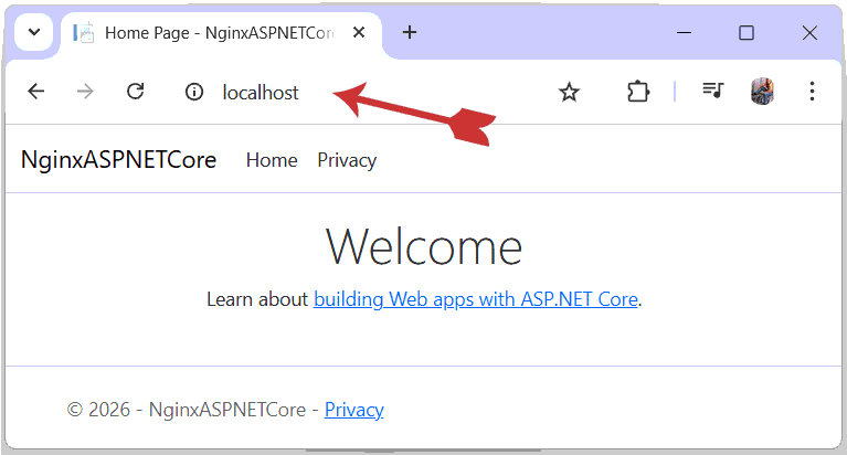 Nginx Reverse Proxy ASP.NET Core