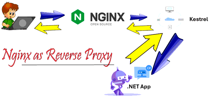Nginx Reverse Proxy