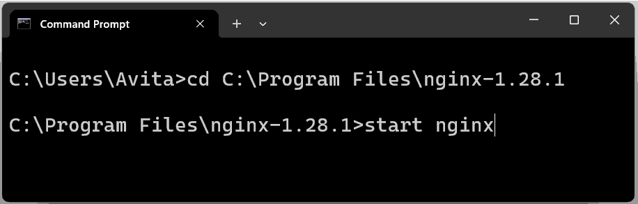 Start Nginx Command