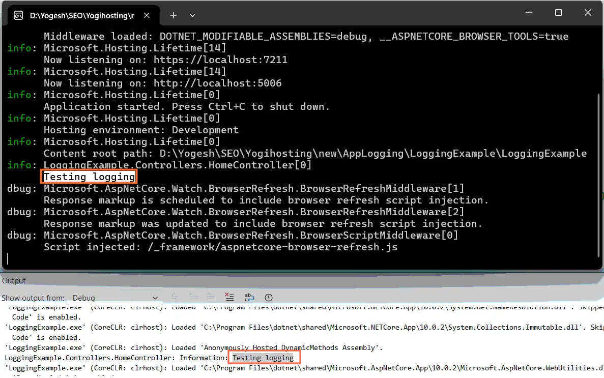 Debug Logs on Console Debug Logs Console