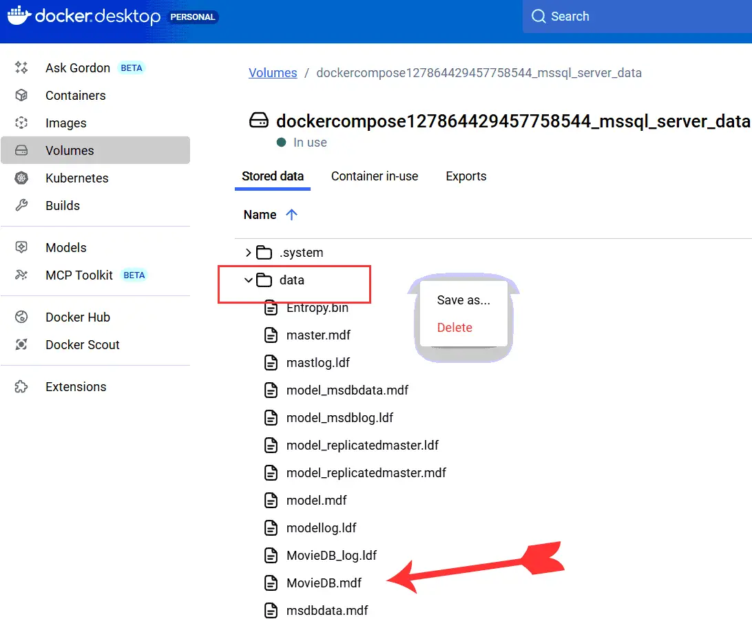 Docker Desktop Volumes Data