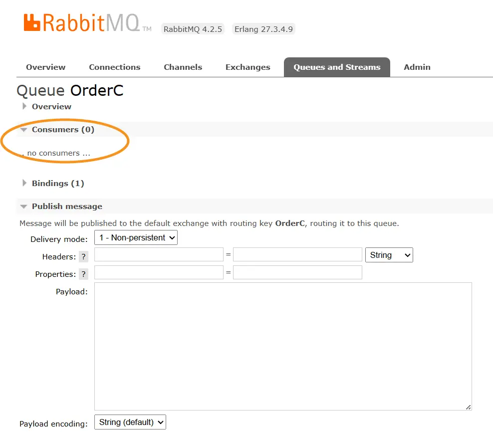 RabbitMQ NoConsumer